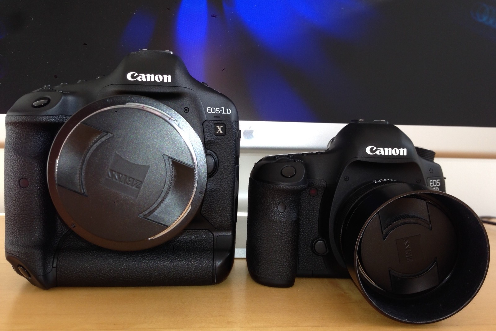 canon 1dx camera vs canon 5diii