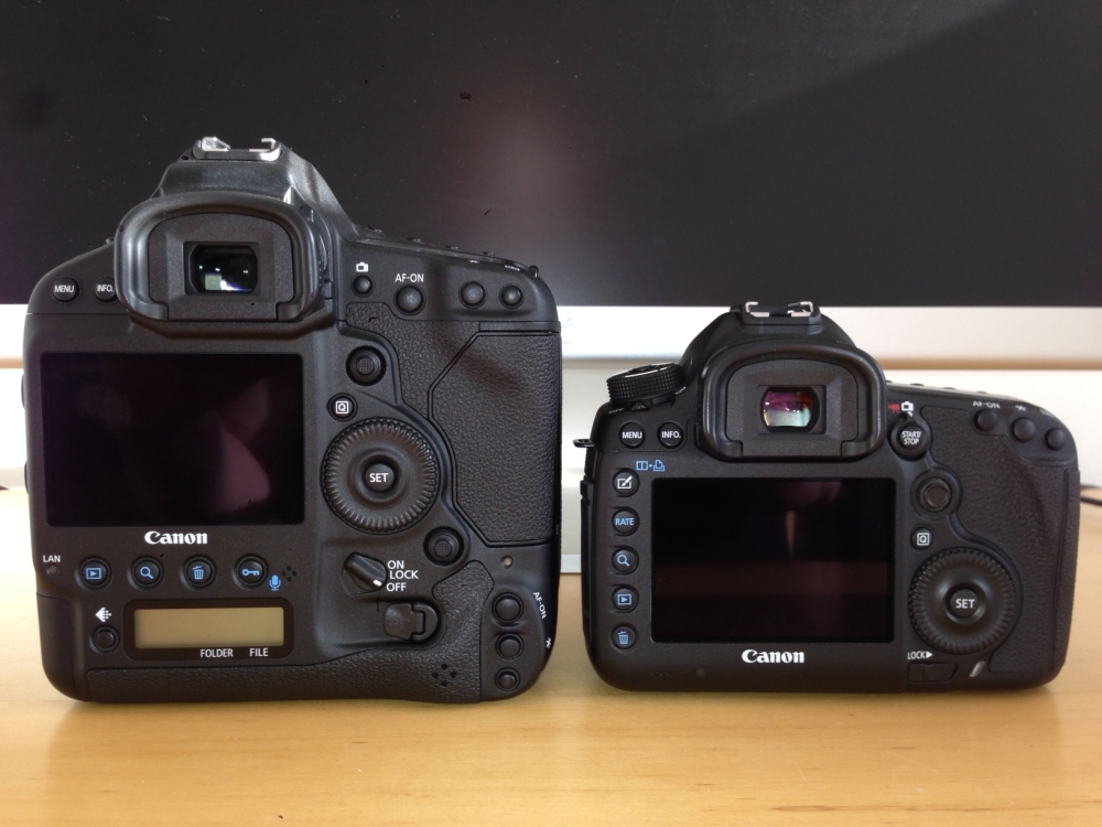 side by side canon 1dx vs canon 5diii